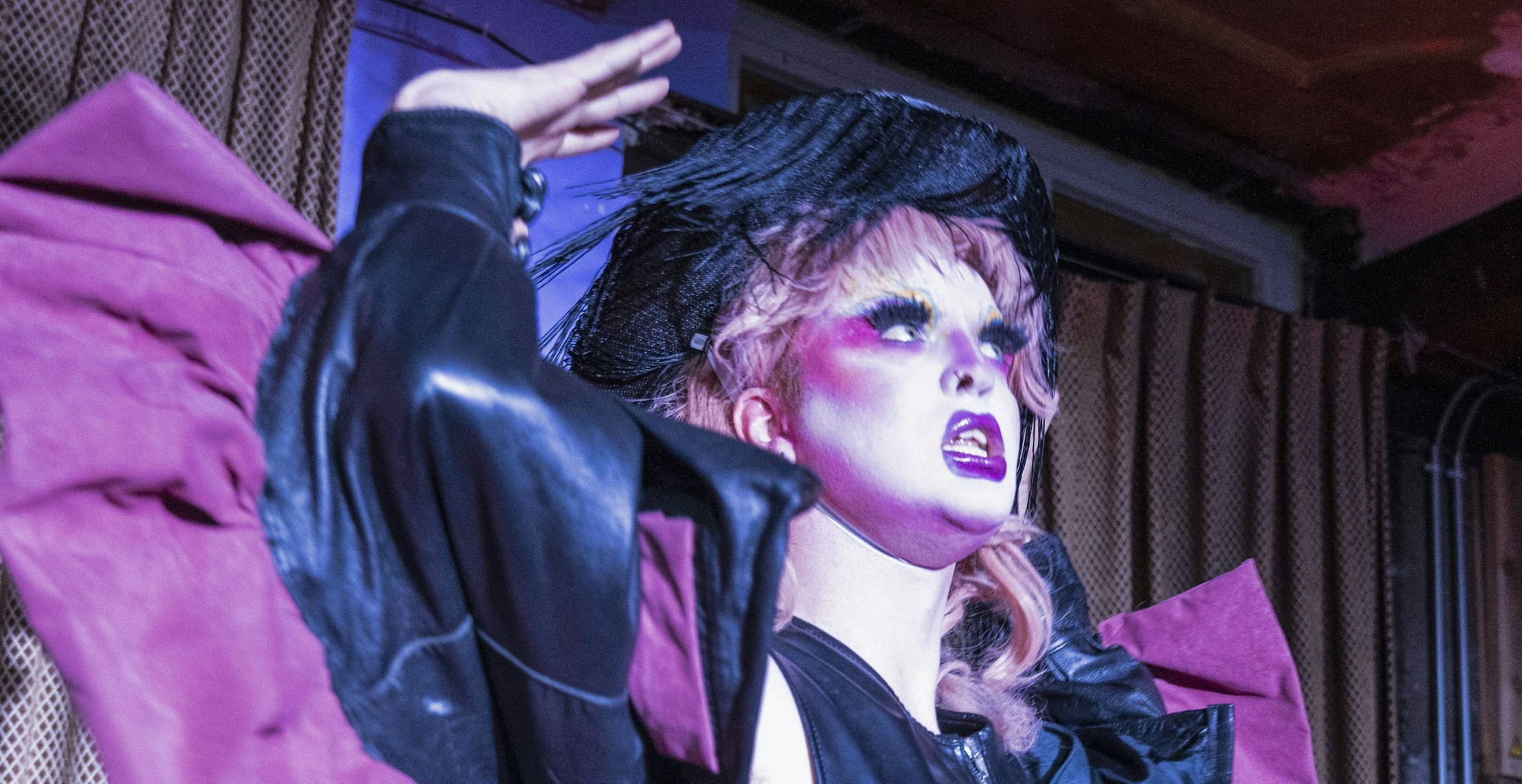 Haas door Hannes Blockx